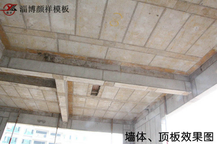 墻體、頂板效果圖